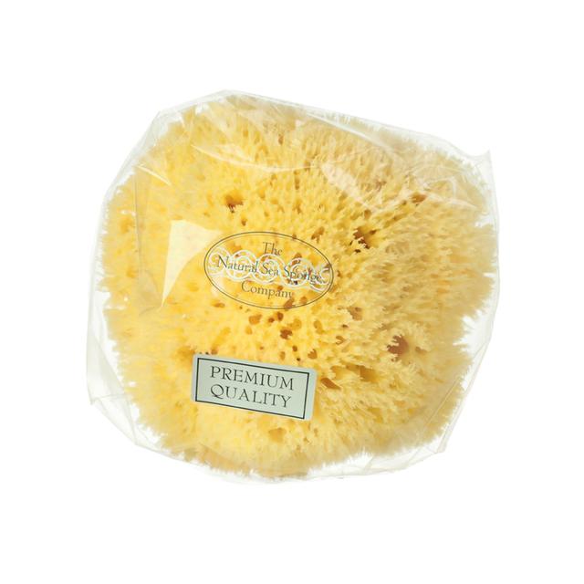 Hydrea London Natural Honeycomb Sea Sponge - Special Offer